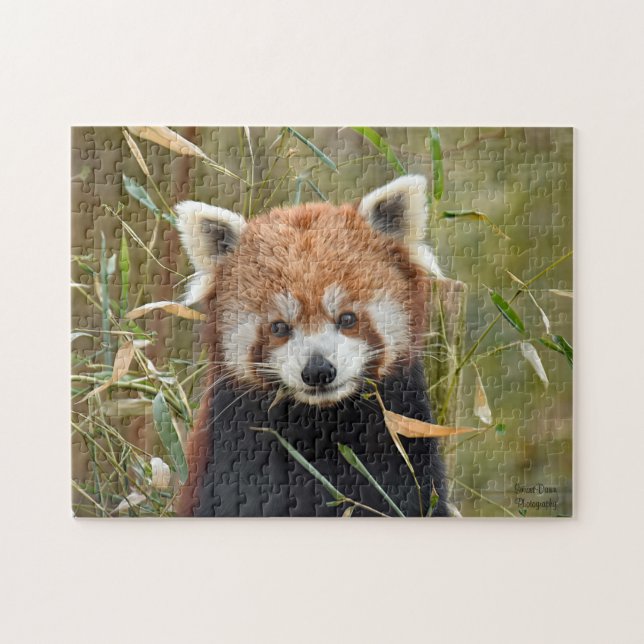 Red Panda Puzzle (Horizontal)