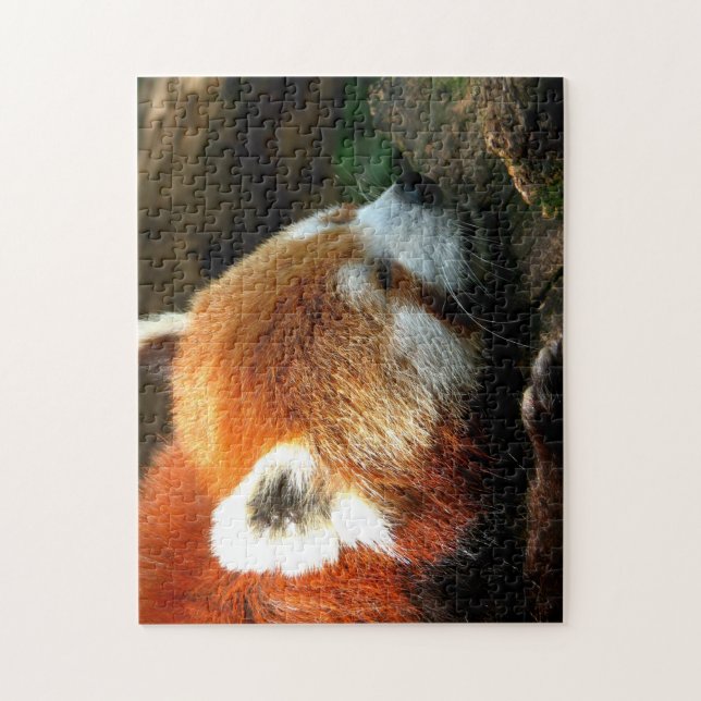 Red Panda Puzzle (Vertikal)