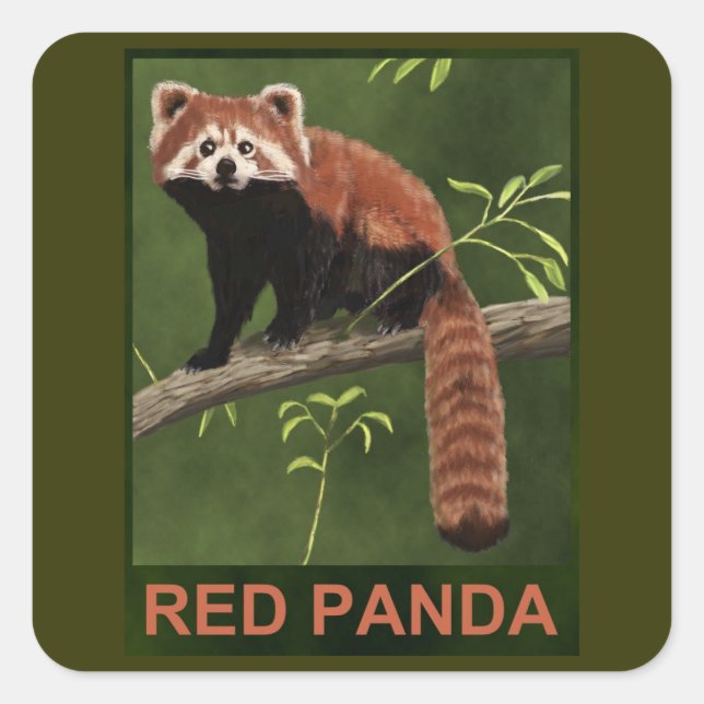 Red Panda Quadratischer Aufkleber (Vorderseite)