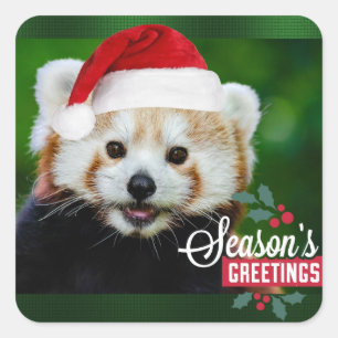 Red Panda Santa Quadratischer Aufkleber