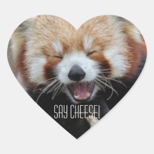 Red Panda - Say Cheese! Herz-Aufkleber
