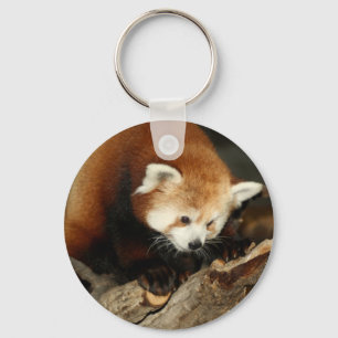 Red Panda Schlüsselanhänger