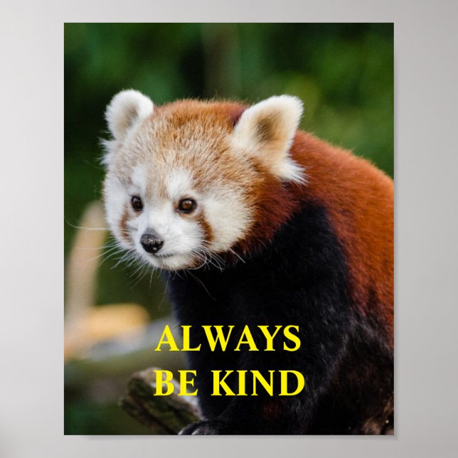 Red Panda sind nette inspirierende Zitate nach Maß Poster (Vorne)