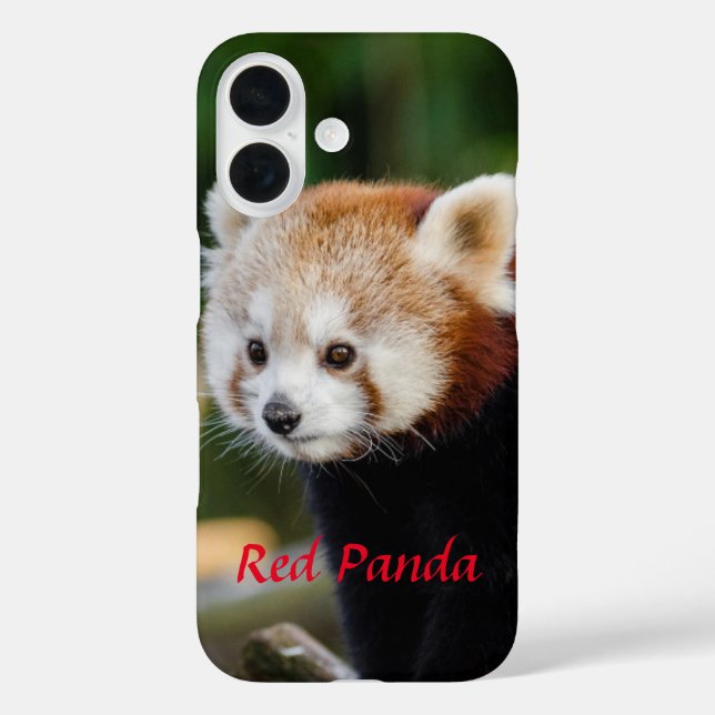 Red Panda Snowy Log Picture Case-Mate iPhone Hülle (Rückseite)