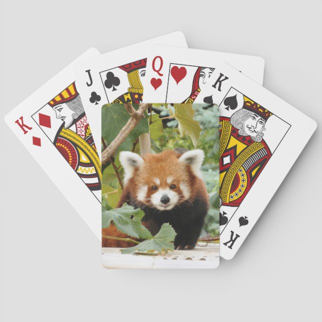 Red Panda Spielkarten (Rückseite)