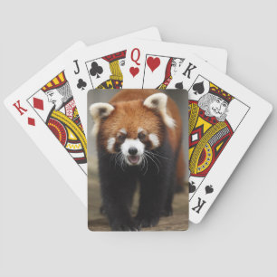 Red Panda Spielkarten