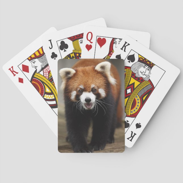 Red Panda Spielkarten (Rückseite)