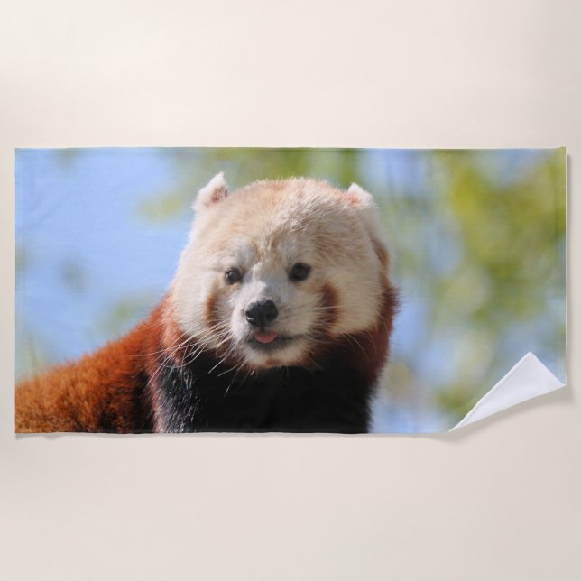 Red Panda Strandtuch (Vorderseite)