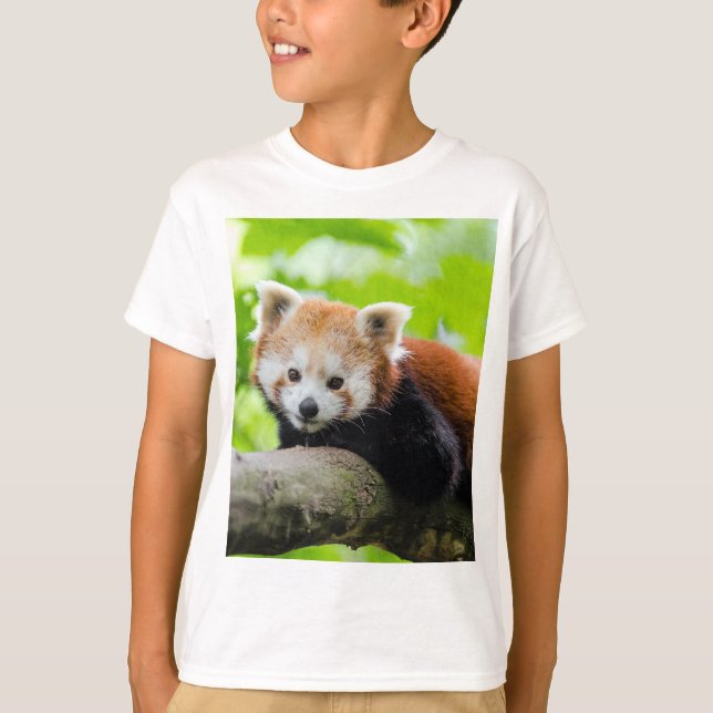 Red Panda T-Shirt (Vorderseite)
