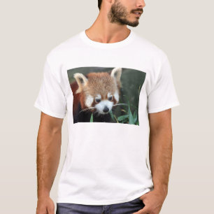 Red Panda, Taronga Zoo, Sydney, Australien T-Shirt