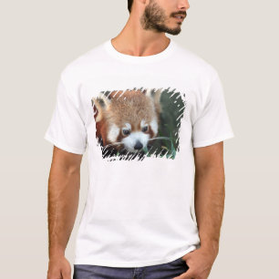 Red Panda, Taronga Zoo, Sydney, Australien T-Shirt