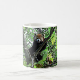 Red Panda Tasse