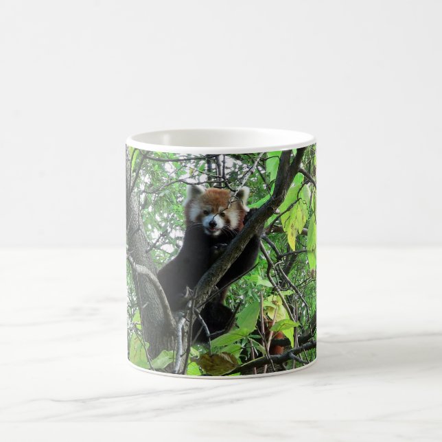 Red Panda Tasse (Mittel)