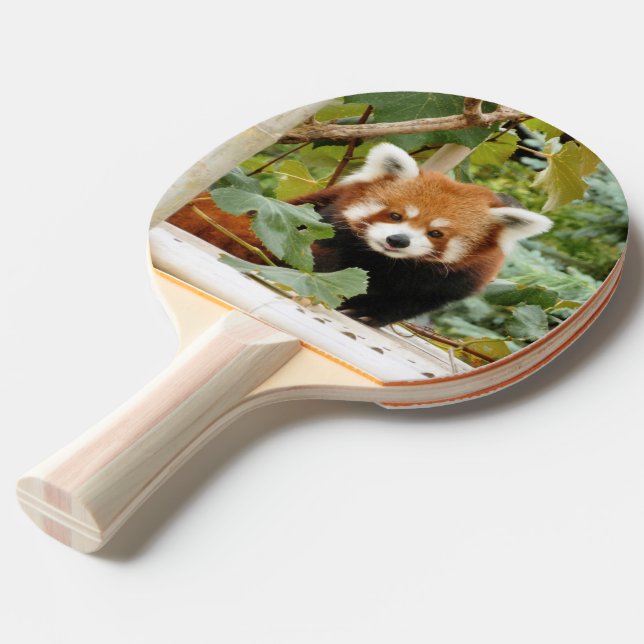Red Panda Tischtennis Schläger (Rückseitenansicht)