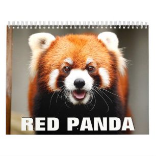 Red Pandas 2022 Wall Calendar Kalender