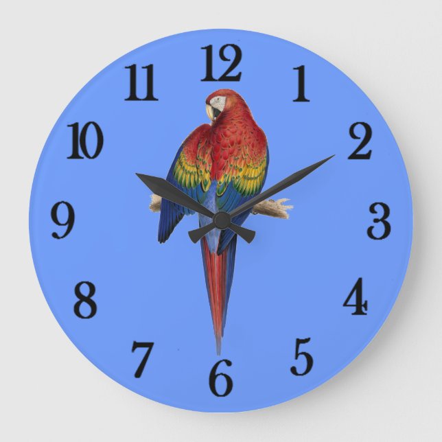 Red Parrot Blue Background Große Wanduhr (Vorderseite)