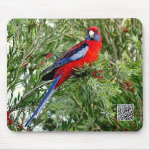 Red Parrot Mousepad