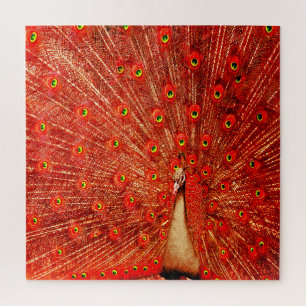 Red Peacock, der seine roten Federn zeigt, Puzzle