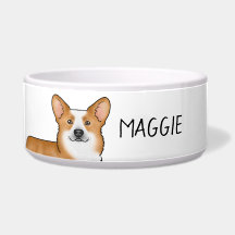 Red Pembroke Welsh Corgi Dog Head and Individuelle