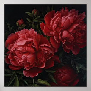 Red Peongs Blume Art Print Poster