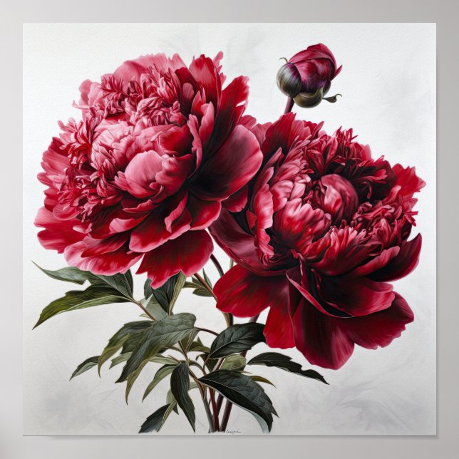 Red Peongs Blume Art Print Poster (Vorne)