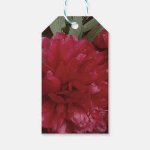 Red Peony Blume Foto Geschenk Tag Geschenkanhänger