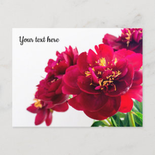 Red Peony Postcard Postkarte