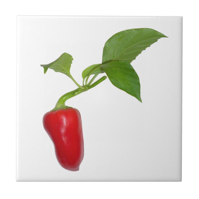 Red Pepper Fliese (Vorderseite)