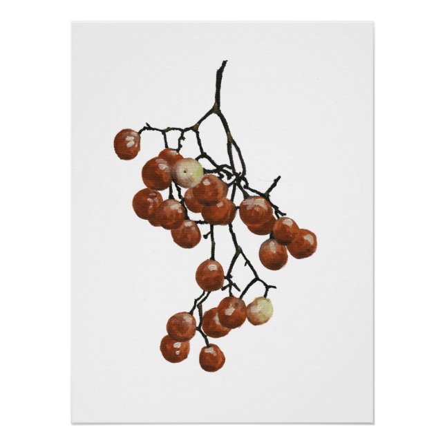 Red Peppercorns - Botanical Study 1 Poster (Vorderseite)