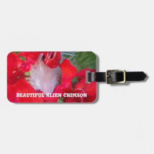Red Petal Feather Art Print Gepäckanhänger