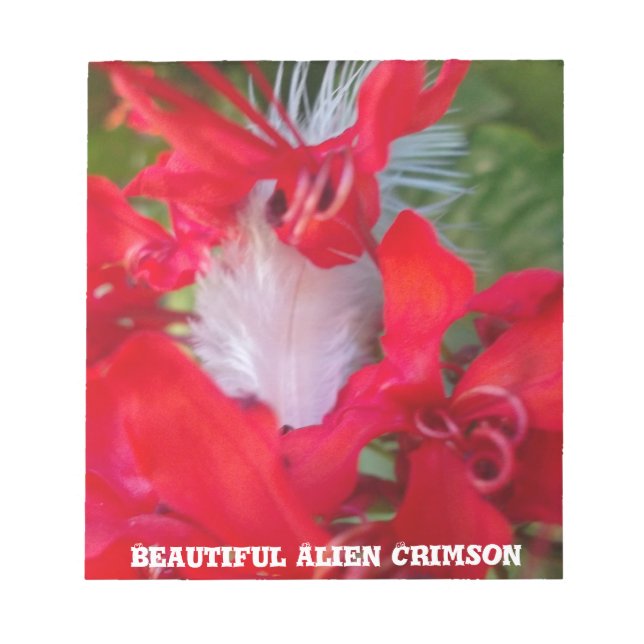 Red Petal Feather Art Print Notizblock (Vorderseite)