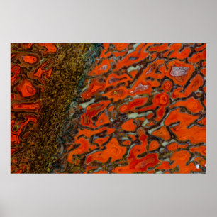 Red Petrified Dinosaur Bone Poster