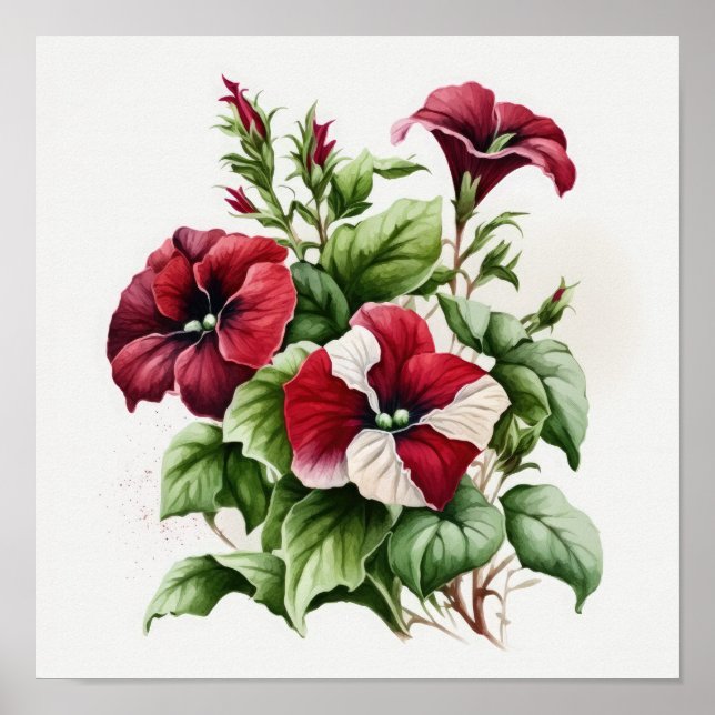 Red Petunias Blume Art Print Poster (Vorne)