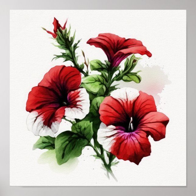 Red Petunias Blume Art Print Poster (Vorne)