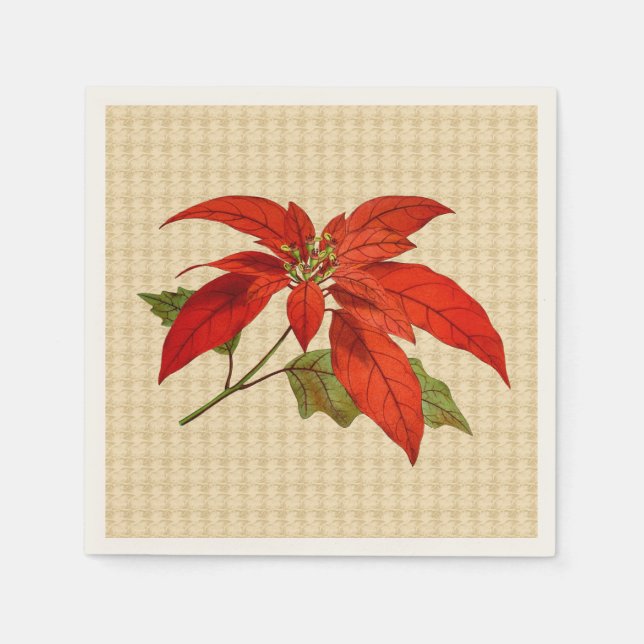 Red Poinsettia Ecru Standard Cocktail Napkin Serviette (Vorderseite)