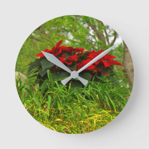 Red Poinsettia Runde Wanduhr