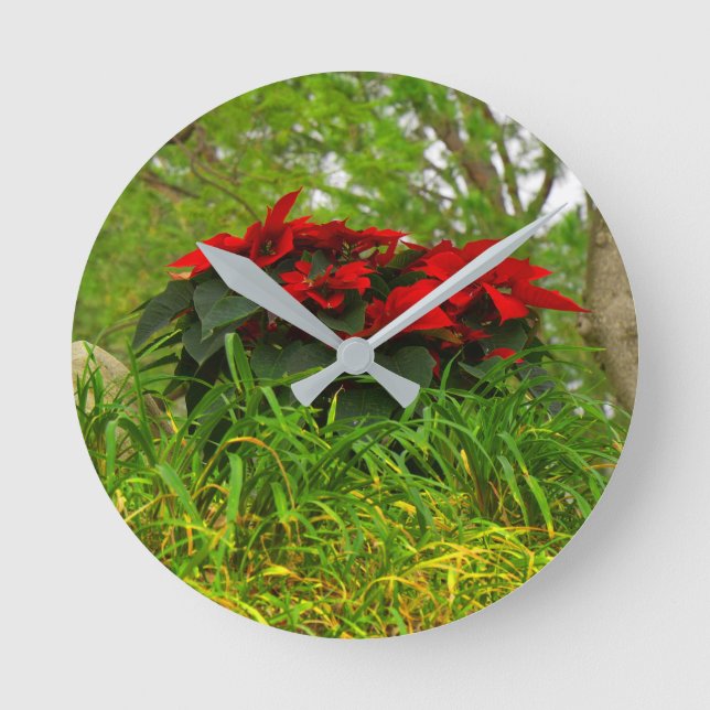 Red Poinsettia Runde Wanduhr (Vorderseite)