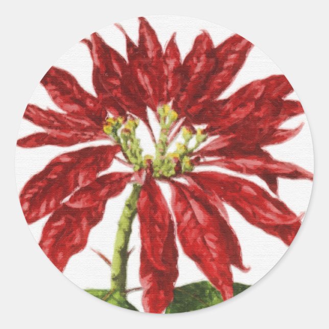 Red Poinsettia Umschlag Aufkleber (Vorderseite)