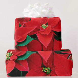 Red Poinsettia Weihnachtsgeschenk Wrapping Paper Geschenkpapier