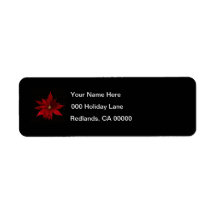 Red Poinsettias auf schwarz