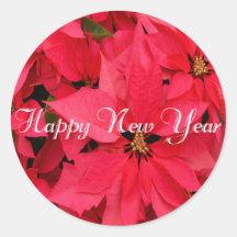 Red Poinsettias Blume Blumenfrass Neues Jahr