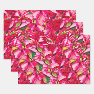 Red Poinsettias Christmas Floral Fotografie  Geschenkpapier Set
