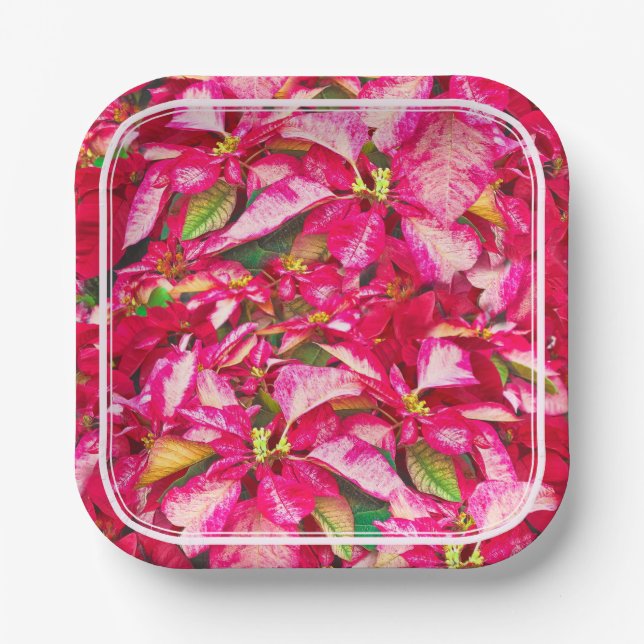 Red Poinsettias Christmas Floral Fotografie Pappteller (Vorderseite)