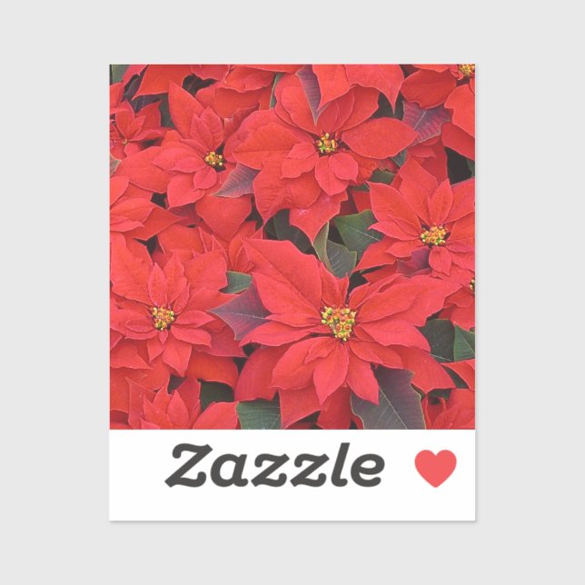 Red Poinsettias I Christmas Holiday Floral Foto Aufkleber (Blatt)