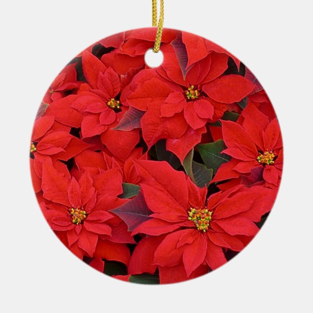 Red Poinsettias I Christmas Holiday Floral Foto Keramikornament (Vorne)