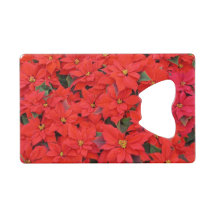 Red Poinsettias I Christmas Holiday Floral Foto