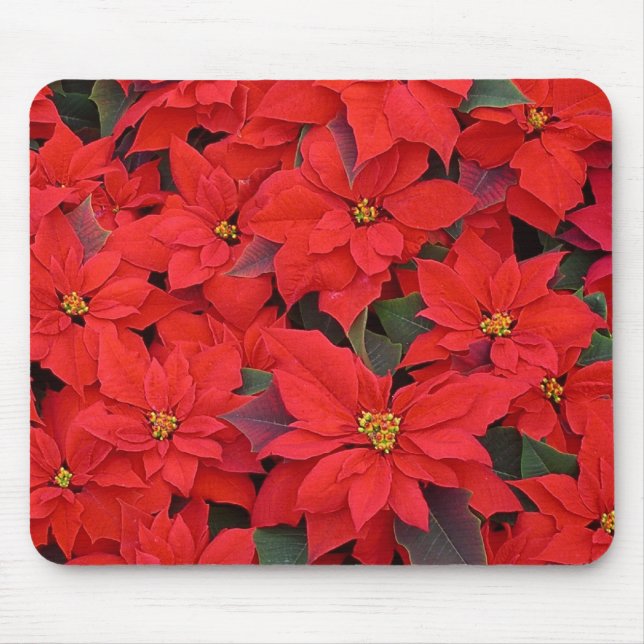 Red Poinsettias I Christmas Holiday Floral Foto Mousepad (Vorne)