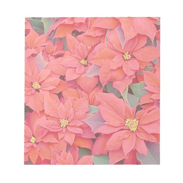 Red Poinsettias I Christmas Holiday Floral Foto Notizblock (Vorderseite)