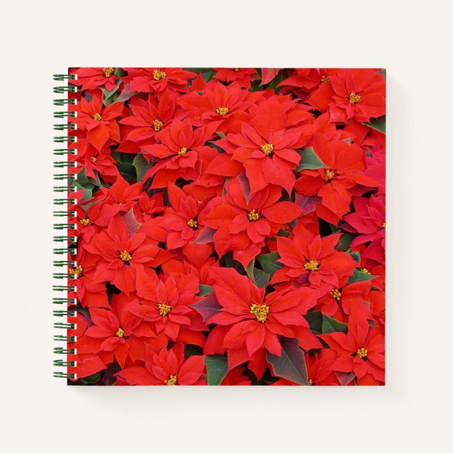 Red Poinsettias I Christmas Holiday Floral Foto Notizbuch (Vorderseite)