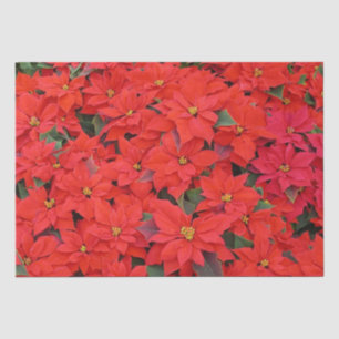 Red Poinsettias I Christmas Holiday Floral Foto Seidenpapier
